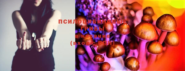 ПСИЛОЦИБИНОВЫЕ ГРИБЫ Армянск