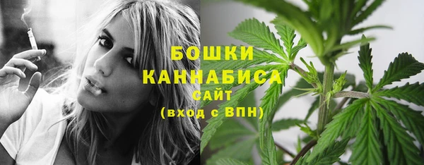 spice Арсеньев